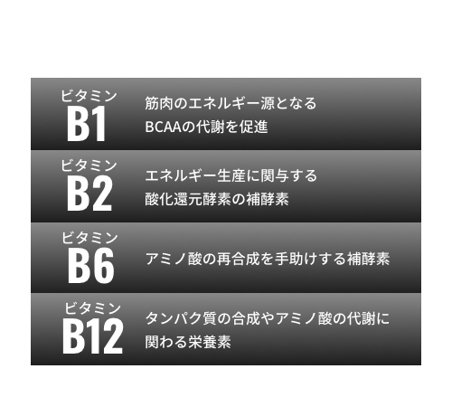 ビタミンB群 1日分