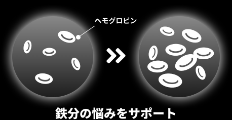 鉄分の悩みをサポート